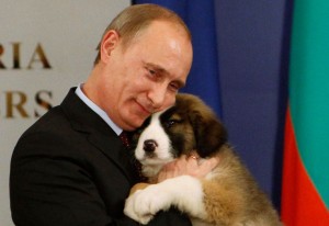 Russia vs USA: Surrender to me or the puppy gets it!