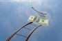Dollar Climbs Stairway to Heaven