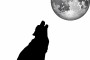Are technical analysts just howling at the moon?