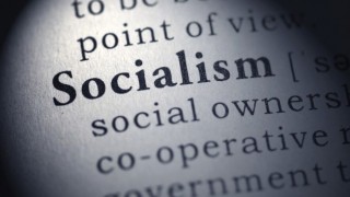 Food For Thought: Socialism Disincentivizes