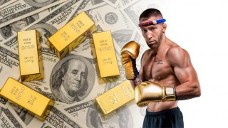 Gold Standard: An Economists’ Punching Bag?