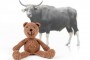 Bear Markets Author the Bull That Follows