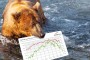 Bears Mauled Market But Not Gold